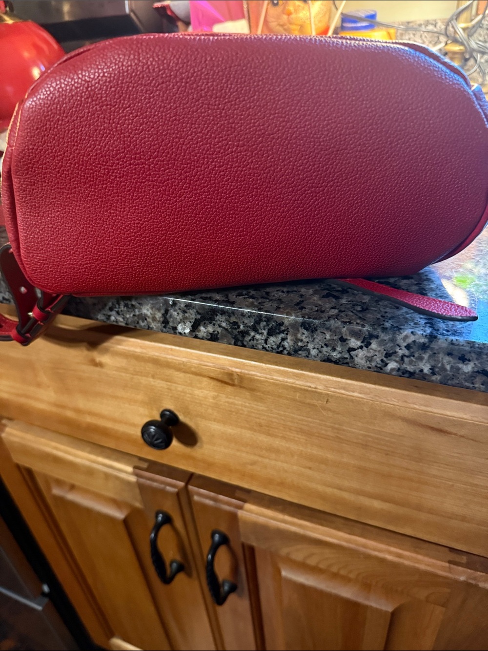 Louis Vuitton Red Monogram Mini Backpack with Gold Hardware - Picture 4 of 5